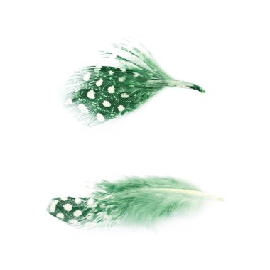 Decorational tüy izole