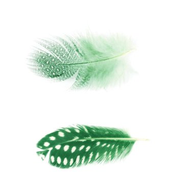 Decorational tüy izole