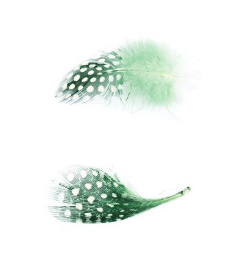 Decorational tüy izole