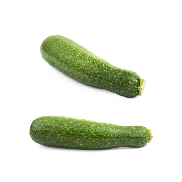Green zucchini plant isolated — Stock Photo, Image