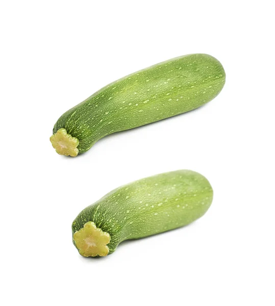 Grüne Zucchinipflanze isoliert — Stockfoto