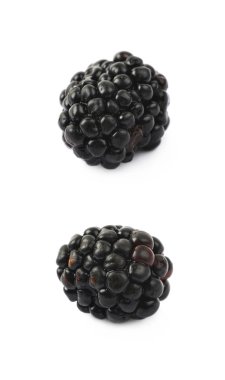 İzole tek böğürtlen meyve