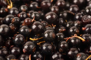 Siyah frenk üzümü ile kaplı yüzey
