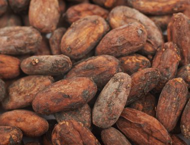 Kakao çekirdeği arka plan kompozisyon