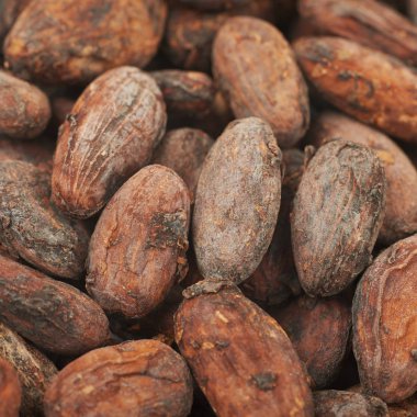 Kakao çekirdeği arka plan kompozisyon