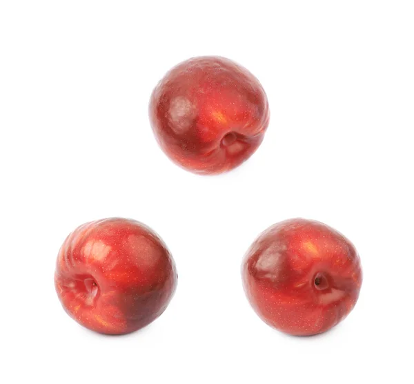 Červená švestka ovoce, samostatný — Stock fotografie