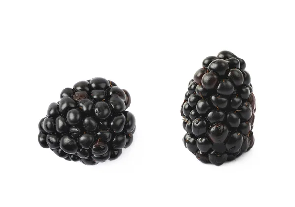 Enkele blackberry fruit geïsoleerd — Stockfoto