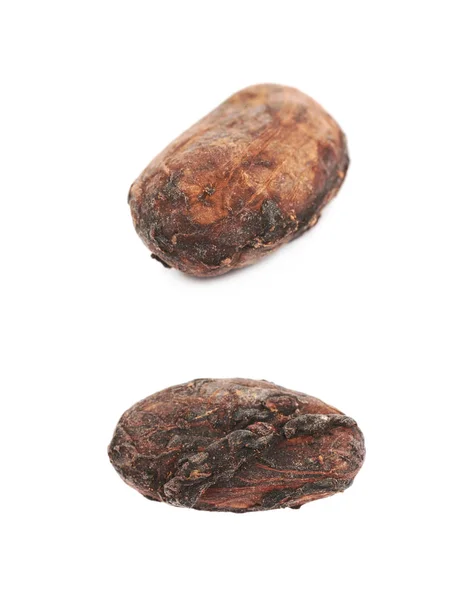 Single cocoa bean isolated — Stock Photo, Image