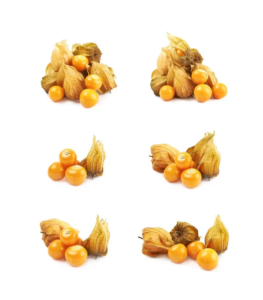 Pile of multiple physalis fruits — Stock Photo, Image