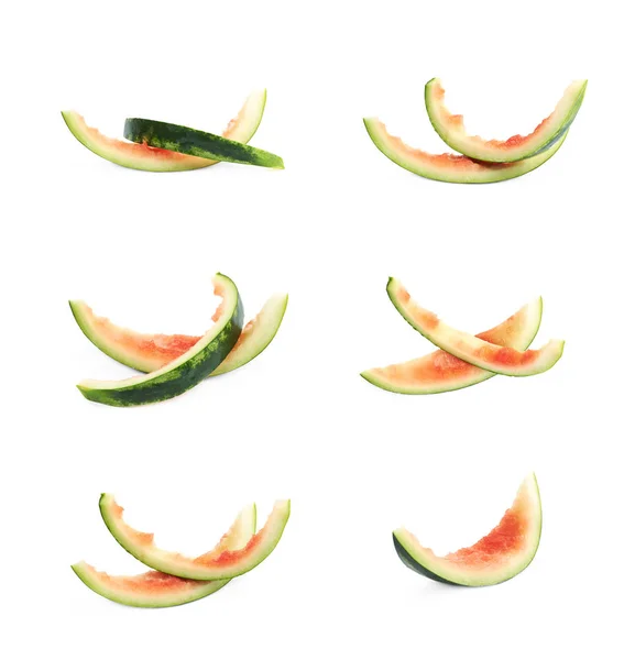 Enda vattenmelon svål isolerade — Stockfoto