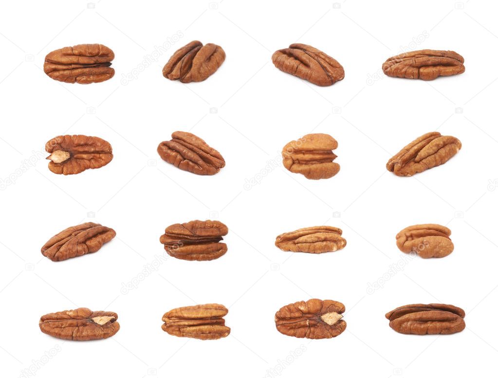 Single pecan nut isolated