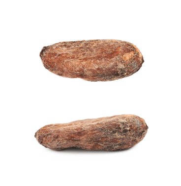 Tek kakao çekirdeği izole