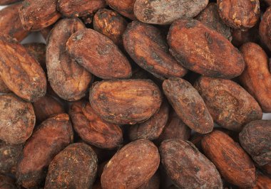 Kakao çekirdeği arka plan kompozisyon