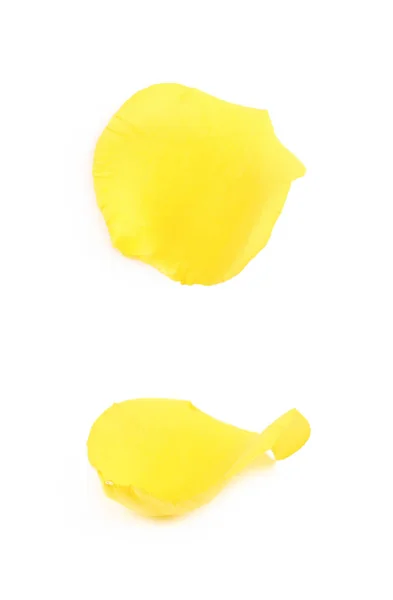 Yellow rose petal isolated — Stock Photo, Image