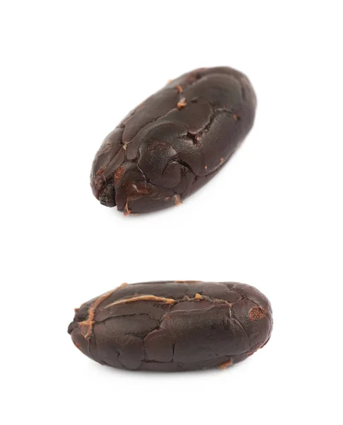 Sola semilla de cacao aislada — Foto de Stock