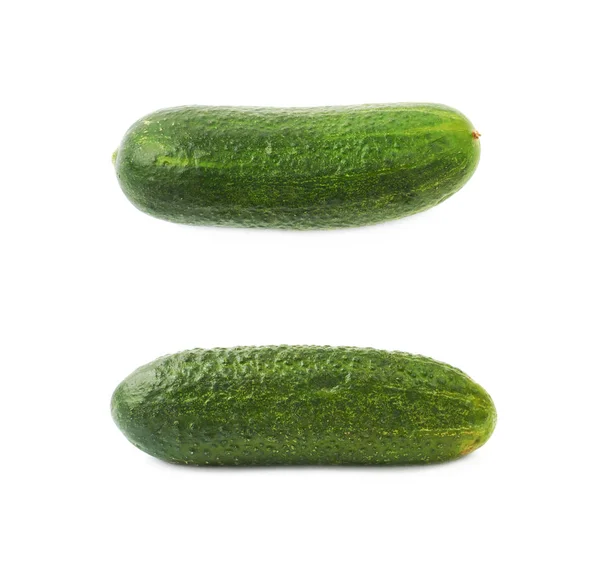 Verse groene komkommer geïsoleerd — Stockfoto