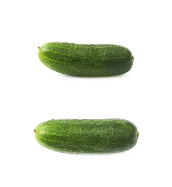 Verse groene komkommer geïsoleerd — Stockfoto