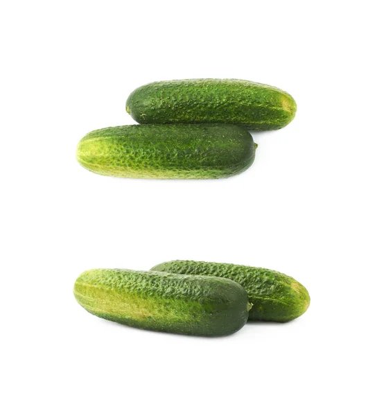 Verse groene komkommer geïsoleerd — Stockfoto