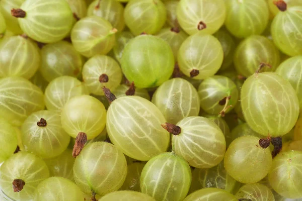 Oberfläche mit Stachelbeeren bedeckt — Stockfoto