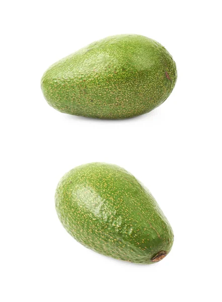 Fruto de abacate isolado — Fotografia de Stock