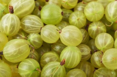 Bektaşi ile kaplı yüzey