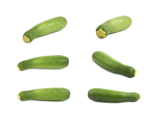 Green zucchini plant isolated — Stock Photo, Image