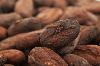 Kakao çekirdeği arka plan kompozisyon