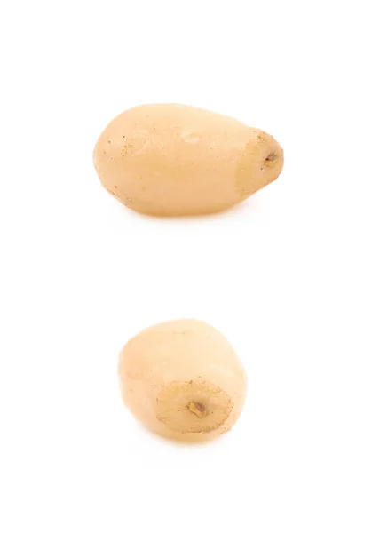 Kacang pinus tunggal terisolasi — Stok Foto