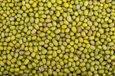 Mung fasulye, altın fasulye, Vigna ışınsal simetrili canlılar