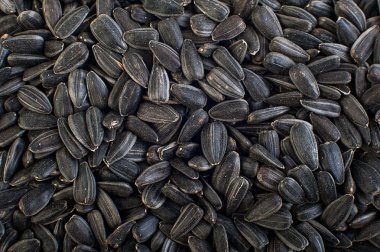 ayçiçeği tohumu kapatın. Makro. tüm arka plan.