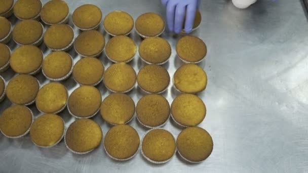 Jefe cocina cupcakes en una panadería . — Vídeos de Stock