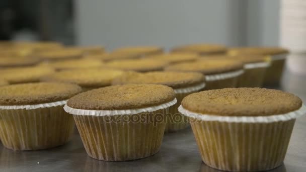 Chief cooks cupcakes in a bakery. — Stock Video