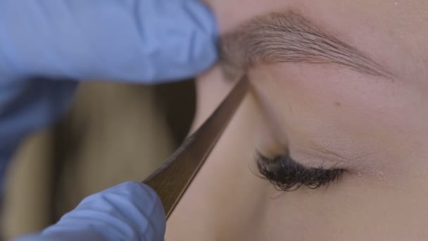 Stylist does beautiful eyebrows to the young beautiful woman. Beauty shop. Close up. — Stock Video