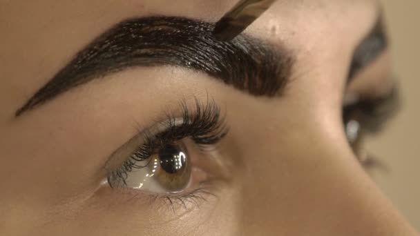 Stylist does beautiful eyebrows to the young beautiful woman. Beauty shop. Close up. — Stock Video