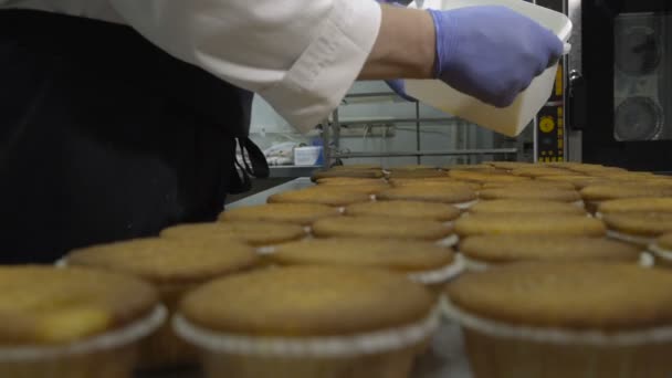 Προ! ιστάμενος μαγειρεύει cupcakes σε ένα αρτοποιείο. — Αρχείο Βίντεο