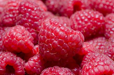 Ahududu ahududu ahududu ahududu