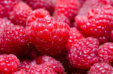 Ahududu ahududu ahududu ahududu