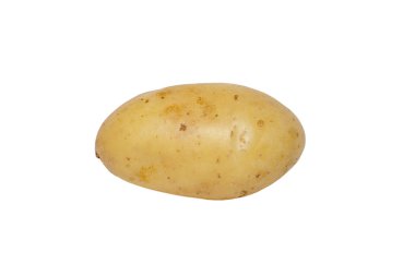 Genç patates beyaz arka plan