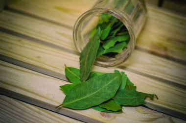 Bay yaprak baharat Bay