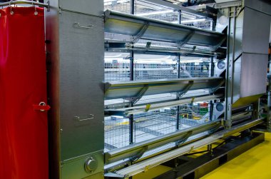 Yeni Kümes Hayvanları Izgara Tavuk Kafesi