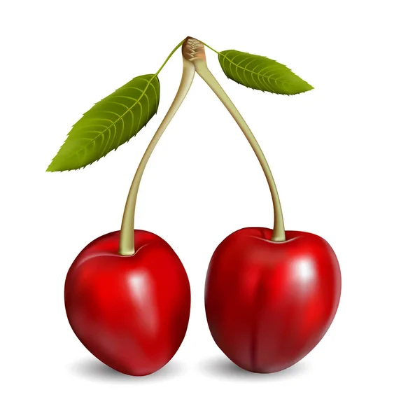 Paire de cerises douces rouges mûres avec tige et feuilles illustration vectorielle réaliste isolée sur blanc — Image vectorielle