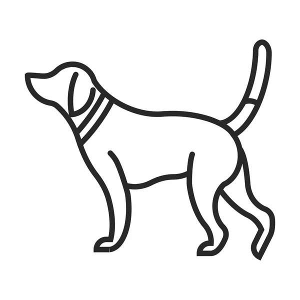 Avcılık köpek vektör simgesi — Stok Vektör