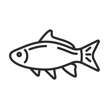 Balık vektör simgesi