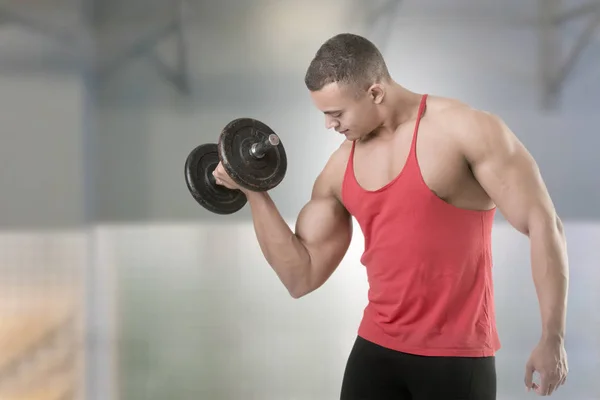 Stálé biceps curl činka — Stock fotografie