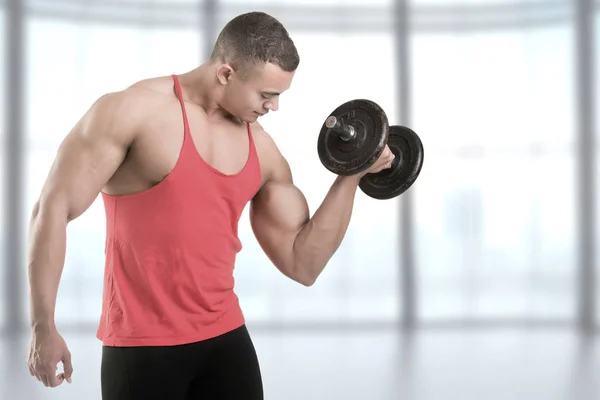 Standing Bicep Dumbbell Curl — Stock Photo, Image