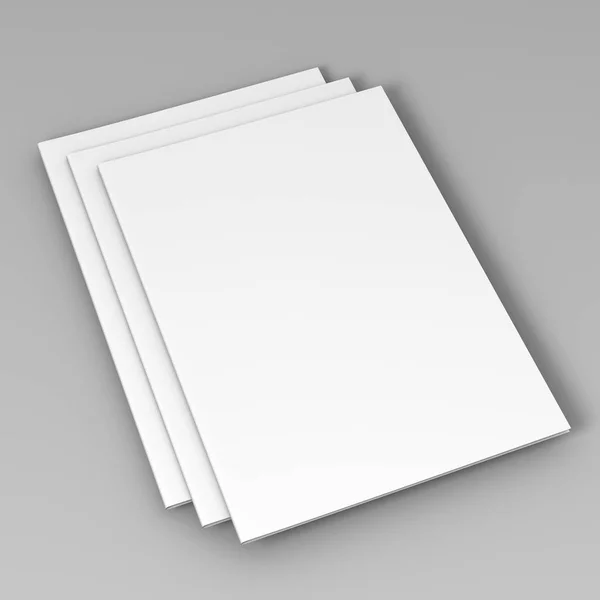 Poster vuoto a4 volantino isolato sul grigio per sostituire il vostro disegno. Illustrazione rendering 3d . — Foto Stock