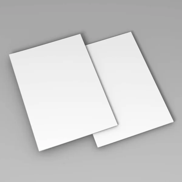 Boş a4 afiş poster tasarım yerine gri izole. 3D render illüstrasyon.