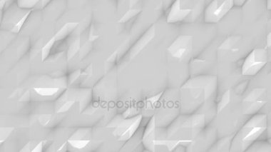 Pleksus animasyon, 3d işleme film etkisi