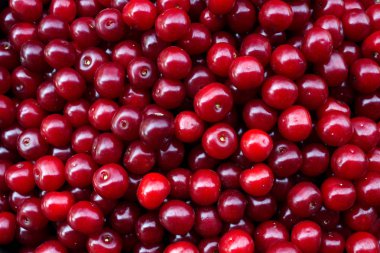 yararlı ve lezzetli doğal kiraz