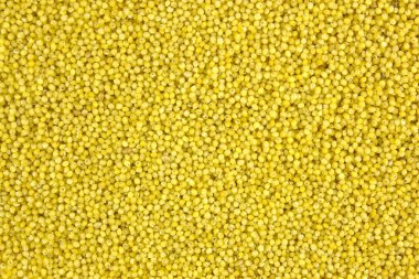 Sarı darı arka plan 